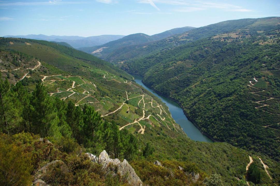 Apartamento Felicitas En La Casa De Cobos, Ribeira Sacra Puebla Del Brollon Екстериор снимка